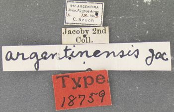 Media type: image; Entomology 18759   Aspect: labels